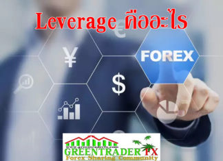 LEVERAGE คืออะไร LEVERAGE คืออะไร