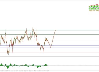 ซิกแนล GBPJPY (GJ) วันนี้ วันที่ 3 กุมภาพันธ์ 2563 Signal Forex GBPJPY ( GJ )