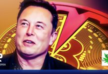 🚀 แค่ Tesla บอกว่าถือ BTC เท่าไหร่ ราคาก็ทยานต่อทันควัน