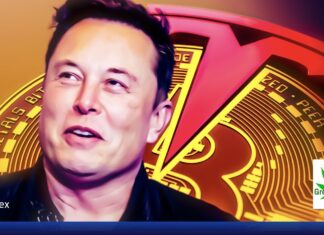 🚀 แค่ Tesla บอกว่าถือ BTC เท่าไหร่ ราคาก็ทยานต่อทันควัน